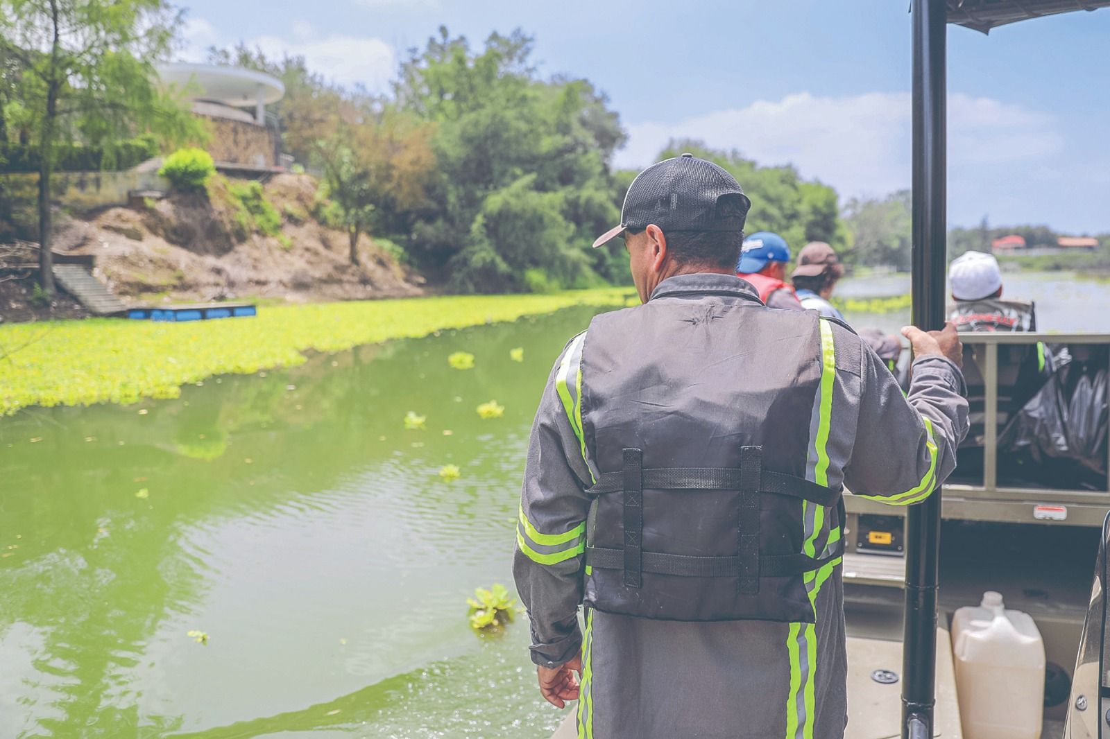 Limpieza de lirio acuático en presa La Boca y sus consecuencias ambientales